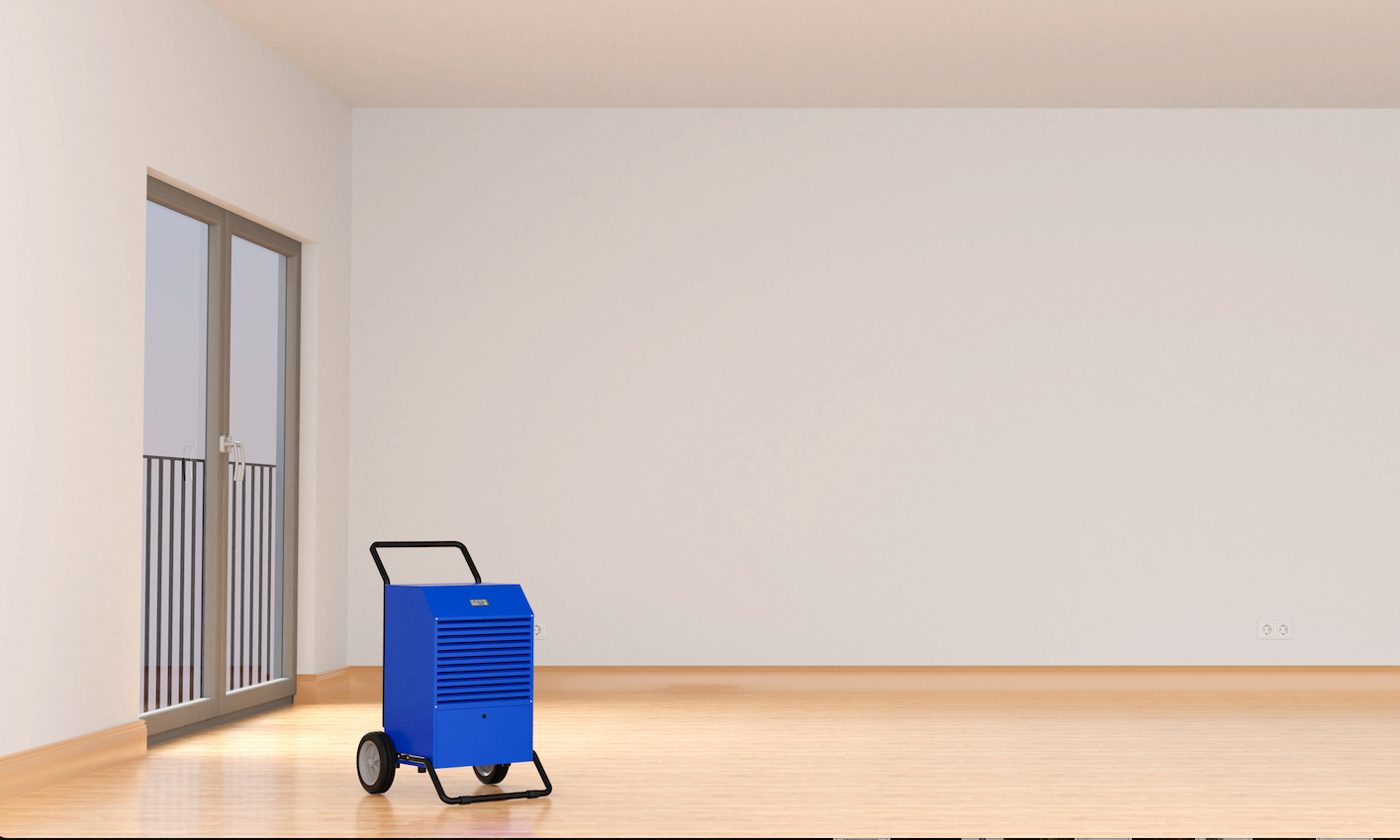 Bautrocknung Hamburg Luebeck SH