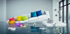 Trockenlegung Lübeck